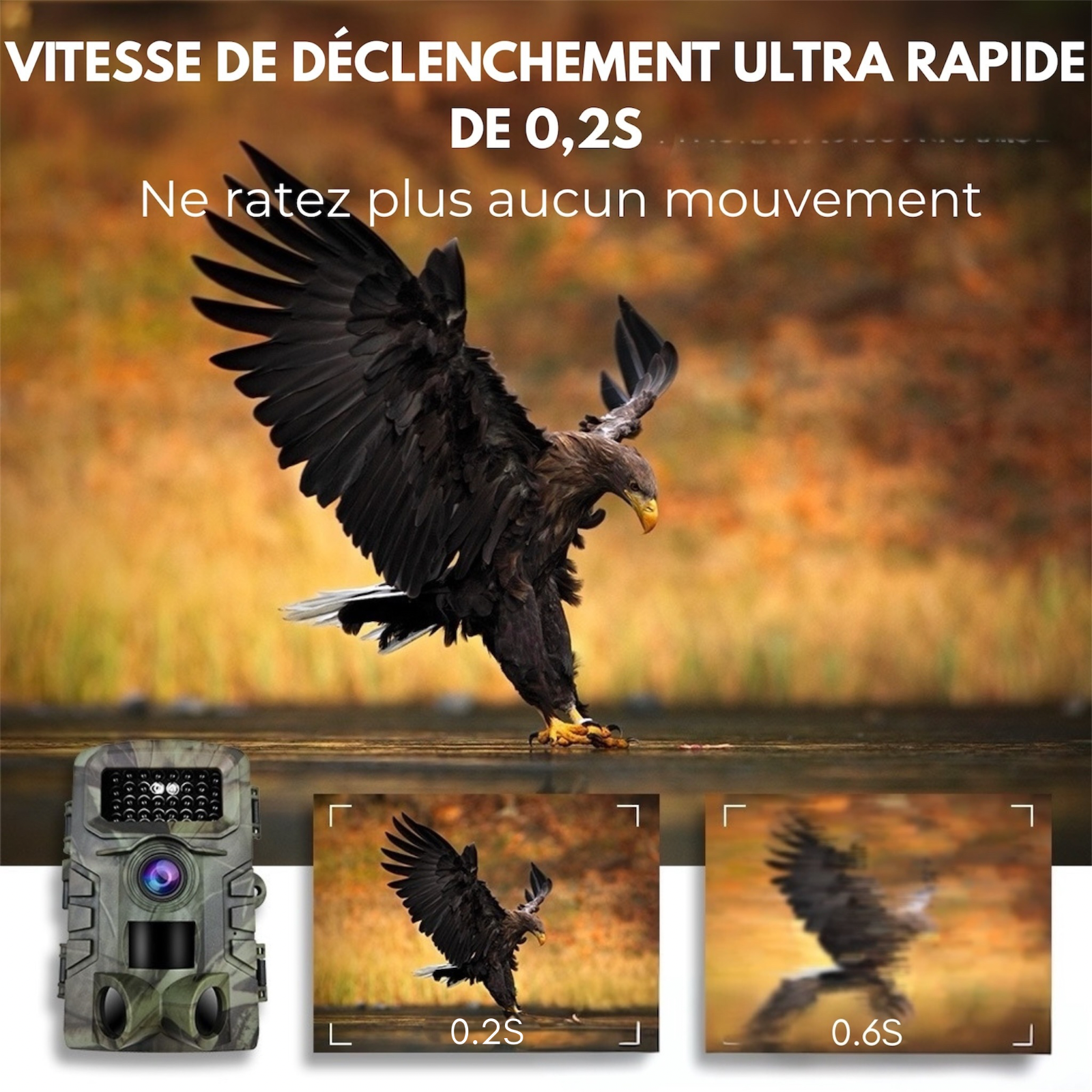 Caméra de Chasse Compacte PR2000 – Facile à Cacher, Facile à Placer Cameratracker