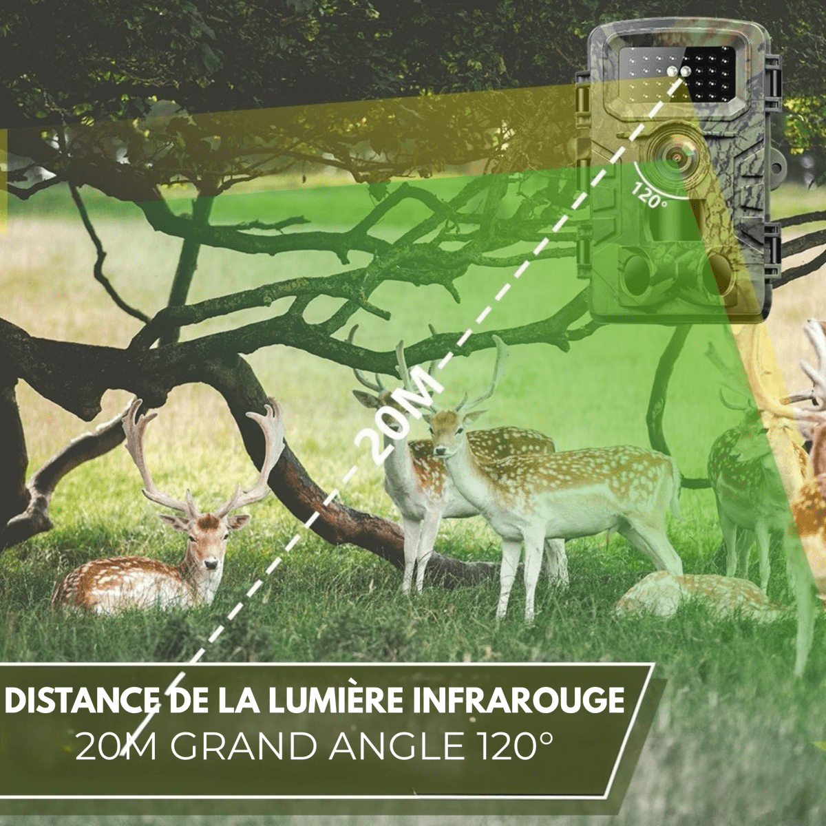 Caméra de Chasse Compacte PR2000 – Facile à Cacher, Facile à Placer Cameratracker