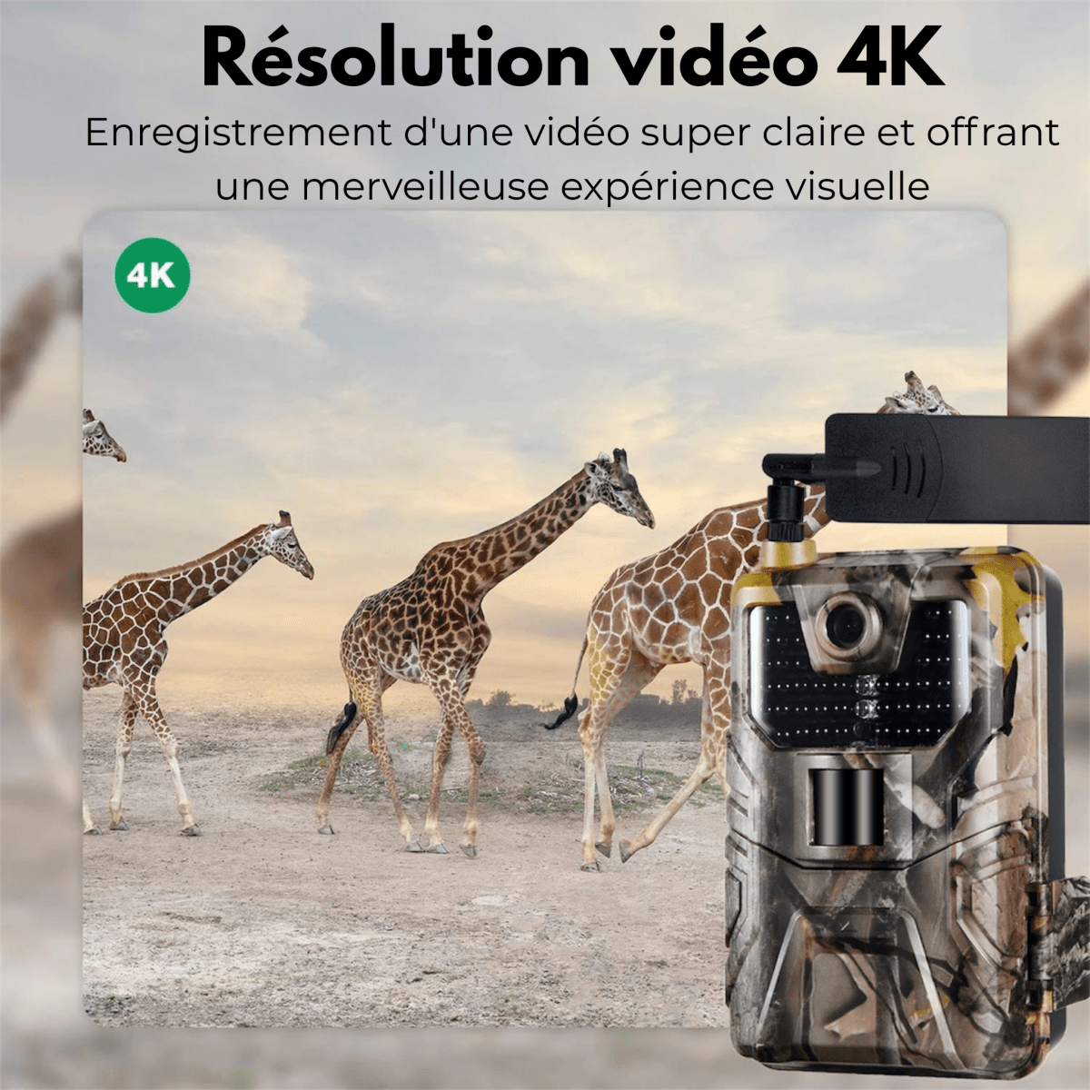 Macaméradechasse Caméra de Chasse 4G HC900 – Alertes Instantanées sur Mobile