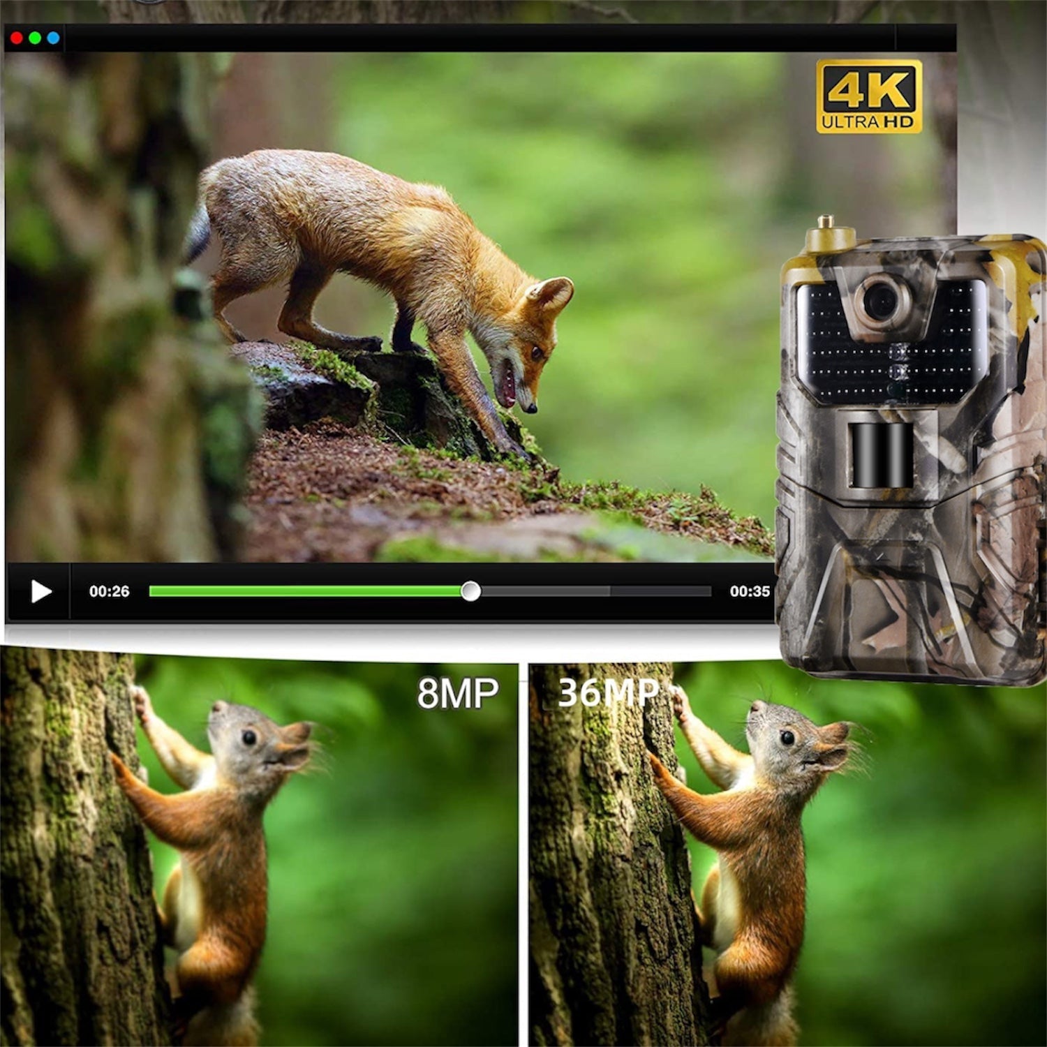 camera chasse 4k
